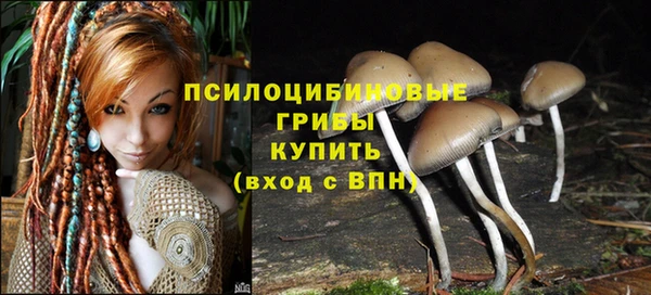 mdpv Горняк