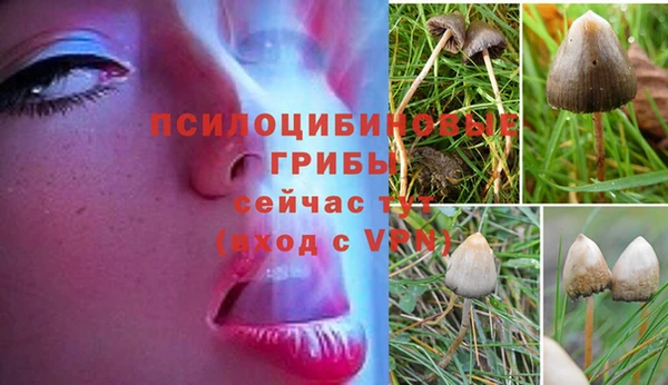 бутират Горнозаводск
