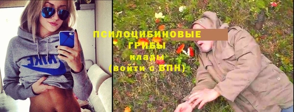 бутират Горнозаводск