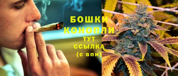 бутират Горнозаводск