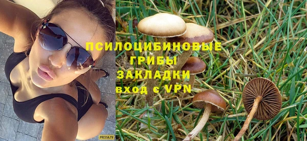 mdpv Горняк